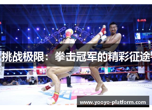 挑战极限：拳击冠军的精彩征途